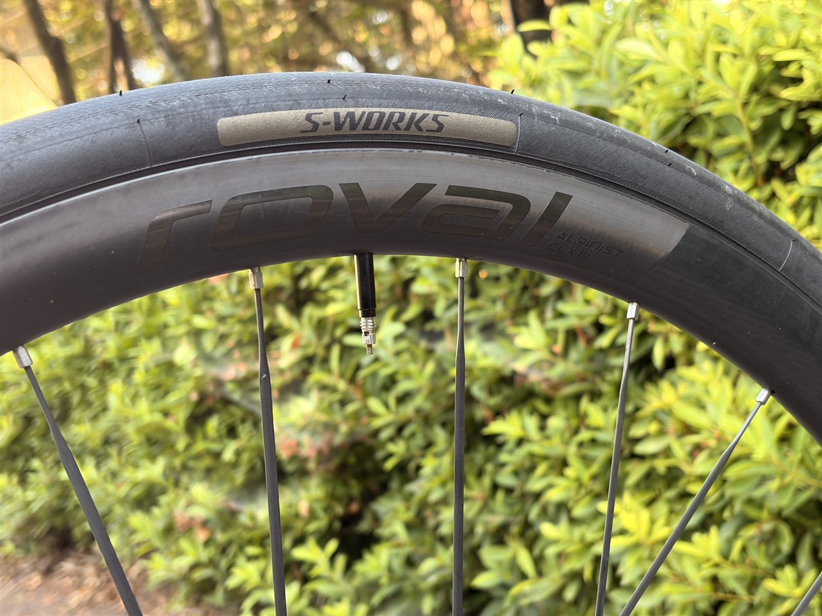 現用のROVAL Alpinist CLX IIIホイール