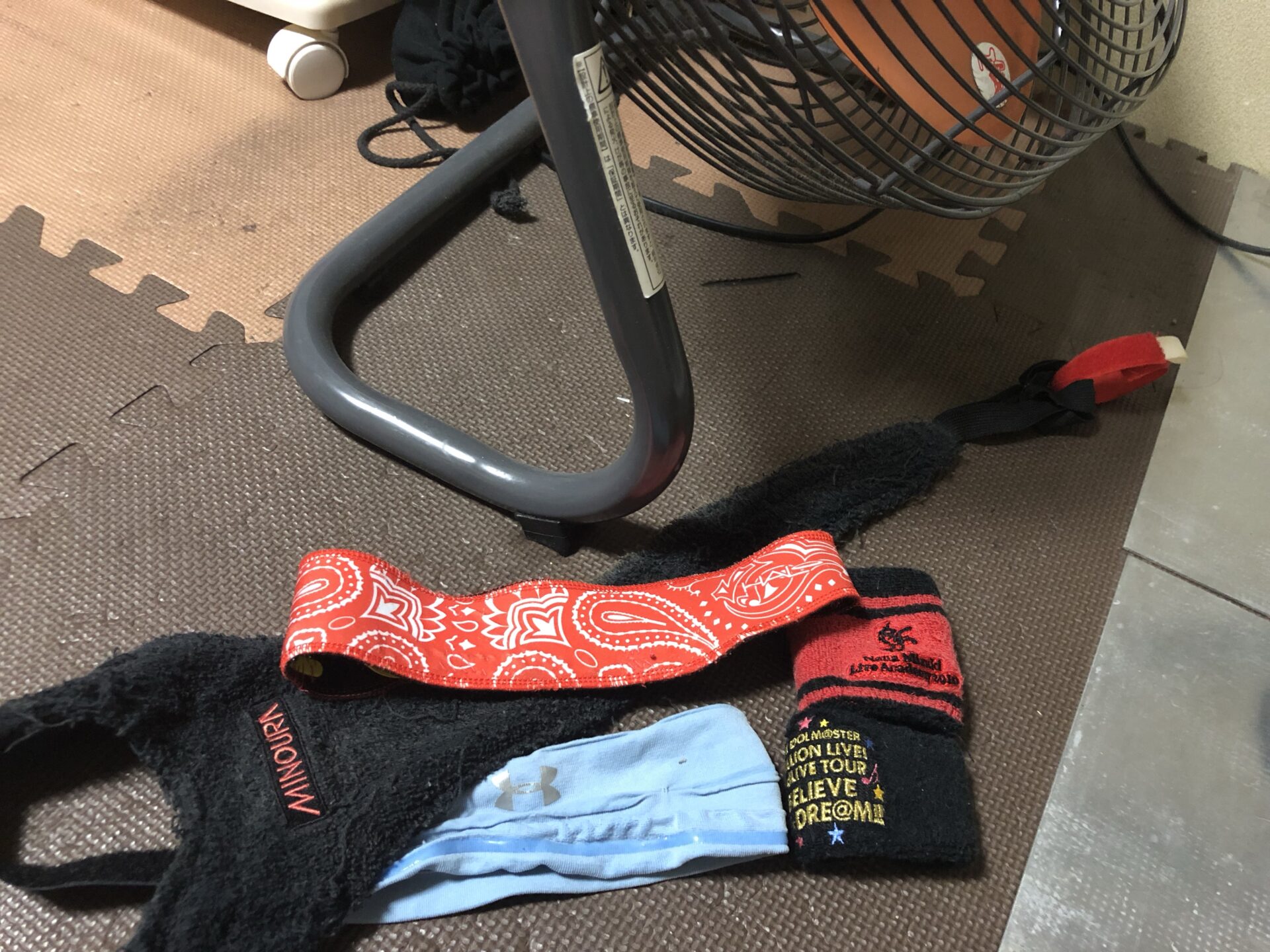 旧ブログから復旧したライド写真
